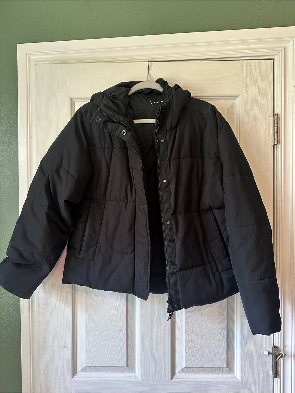 Everlane Black Puffer Coat